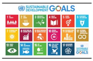 SDG sustainable development goals
